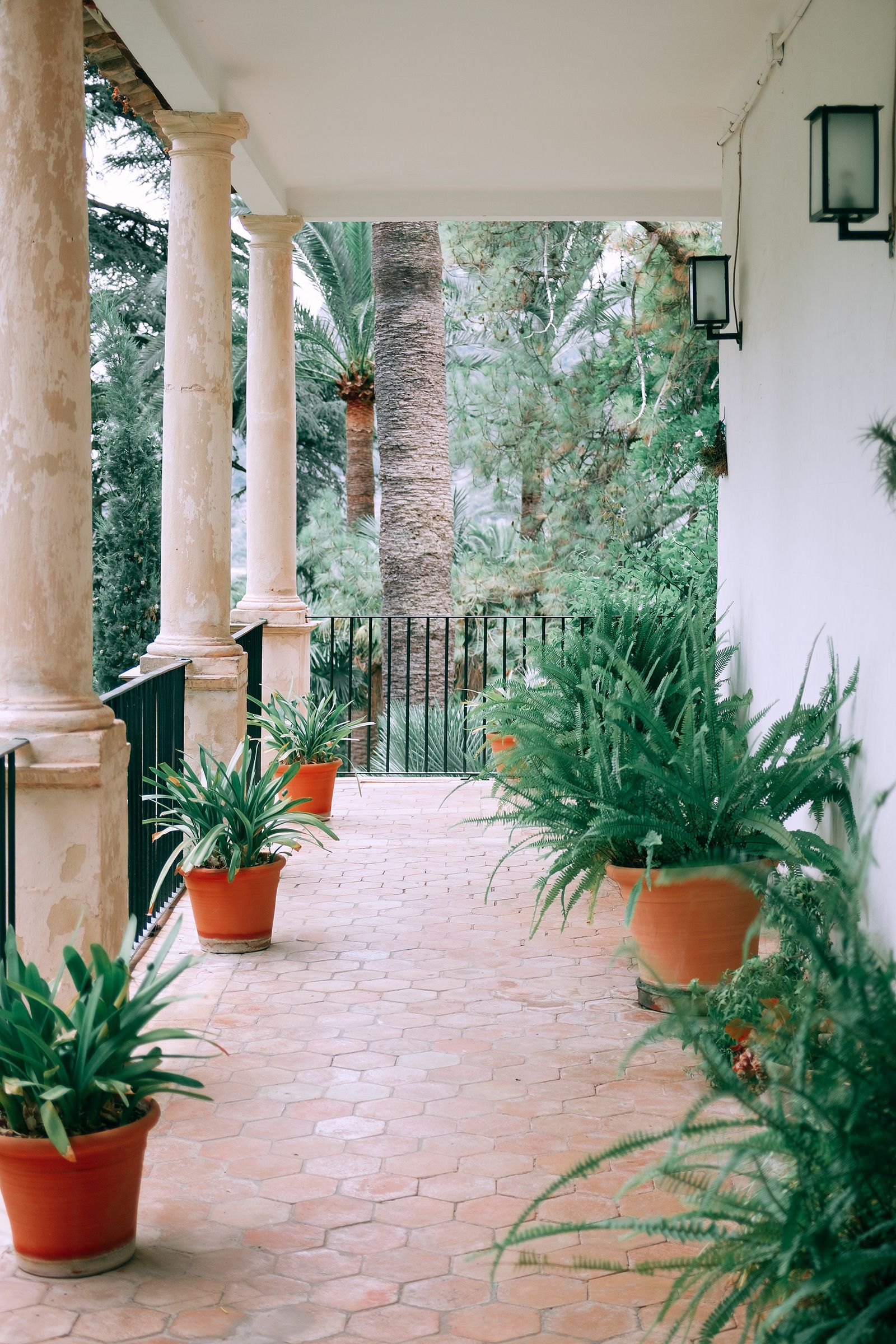 Terraza con columnas y plantas en macetas sobre suelo de terracota
